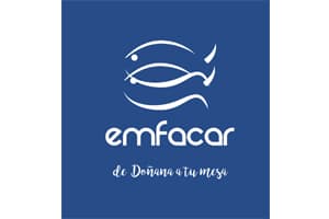 logo emfacar