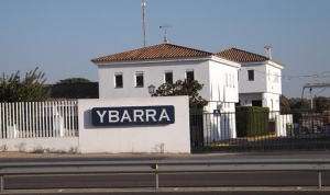 ybarra